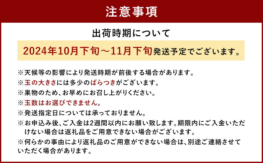 福岡県産 ブランドキウイ 甘うぃ 約1.5kg （12-15玉）