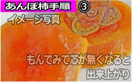 【県認定エコファーマー】あんぽ柿用生渋柿（平たねなし柿） 約14.5～15kg 50~90個【art002】