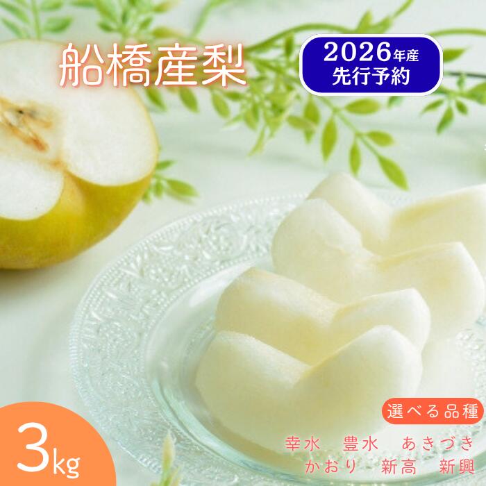 【ふるさと納税】【2026年産 先行予約】 梨 幸水 豊水 あきづき 新高 新興 かおり船橋のなし 先行予約 選べる家庭用 贈答用 3kg 5kg 旬 果物 フルーツ千葉県産 船橋市産 おすすめ 千葉県 船橋市 エコチョク