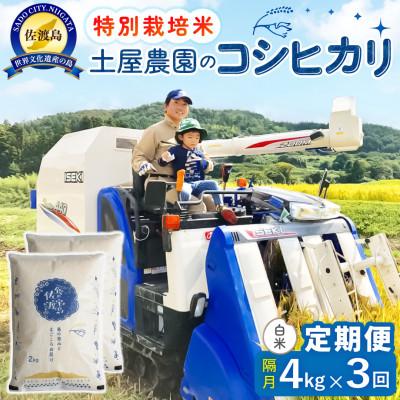 ふるさと納税 佐渡市 【2ヵ月毎定期便】佐渡島産コシヒカリ 白米4kg 土屋農園 農家直送 特別栽培米 　全3回