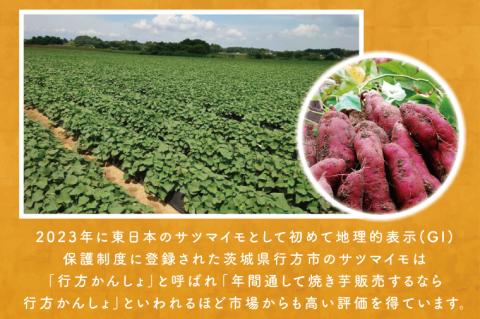 EY-11　【3ヶ月定期便】★少し大きめサイズ★熟成紅はるか冷凍焼き芋2kg＋おまかせ品種さつまいも 合計約2.3kg!