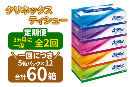 【全2回定期便(3ヵ月に1回)】クリネックス ティシュー　60箱(5箱×12パック )【日本製紙クレシア株式会社】 ティッシュ 開成町 ティッシュ ティッシュペーパー ティッシュ まとめ買い ティッシュ ボックスティッシュ ティッシュ 定期便 [BDAM004]