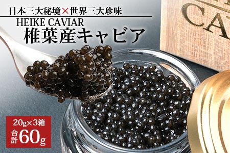 【桐箱入り】HEIKE CAVIAR 60ｇ 【宮崎県 椎葉村】 チョウザメ キャビア 【世界三大珍味×日本三大秘境】［宮崎 椎葉 国産 ちょうざめ チョウザメ キャビア 60g 魚卵 卵 クリーミー お酒 魚介 珍味 加工品 食べ物 食品 冷凍 高級 贅沢 お取り寄せ お取り寄せグルメ ディナー パーティー おつまみ グルメ ギフト 記念日 誕生日 プレゼント お祝い 贈り物 贈答 贈答品 桐箱 希少］【SZ-107】