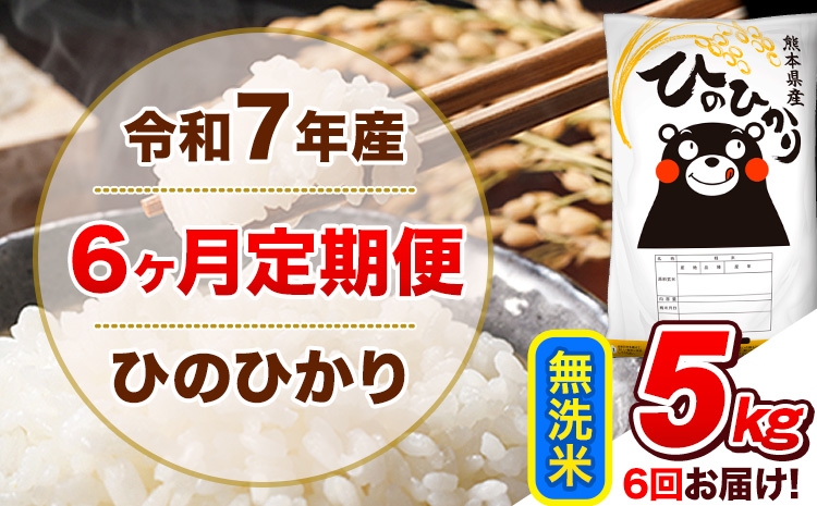 
                   令和7年産 【6ヵ月定期便】 無洗米 ひのひかり 定期便 5kg 5kg×1袋《お申込み翌月から出荷》 熊本県産 精米 ひの 米 こめ ヒノヒカリ コメ お米 
                