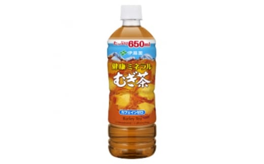 
＜毎月定期便＞健康ミネラルむぎ茶650ml24本全3回【4008880】
