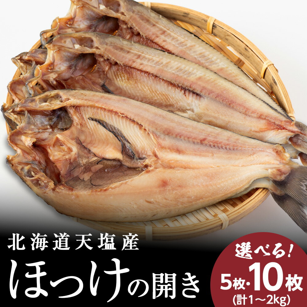 【ふるさと納税】北海道産 ほっけ ホッケの開き 脂乗り抜群 天塩 ホッケ 選べる5枚〜10枚セット ふるさと納税 北海道