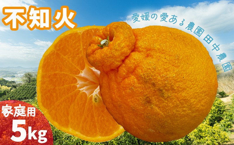 
                  【2027年2月下旬頃から順次発送】不知火 しらぬい  約5kg  家庭用でこぽんと同品種 愛媛産 愛媛県産 国産 愛媛みかん 愛媛蜜柑 愛媛ミカン みかん ミカン mikan 柑橘類 先行予約 訳アリ ワケアリ 蜜柑 柑橘 フルーツ 果物 くだもの お取り寄せ 産地直送 数量限定 人気 おすすめ 愛媛県 松山市 田中農園 送料無料
                