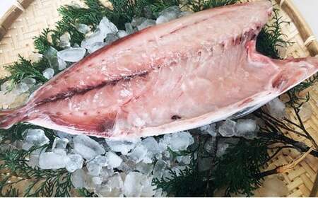 5kg以上 の 久良の ぶり 半身フィレタイプ×２枚【発送期間:12月1日～2月28日】 ぶり 鰤 ぶりしゃぶ 鰤しゃぶ たたき 1本 年末 愛南町 愛媛県 国産 特産品 魚介類 海産物 まるごと 刺