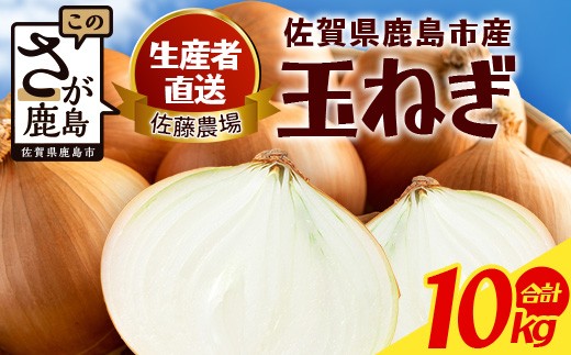 
                  ＼生産者直送／佐藤農場が育てた鹿島市産玉ねぎ 10kg｜ 鹿島市産 玉ねぎ 佐藤農場 産地直送 新鮮 野菜 大容量 B-916
                