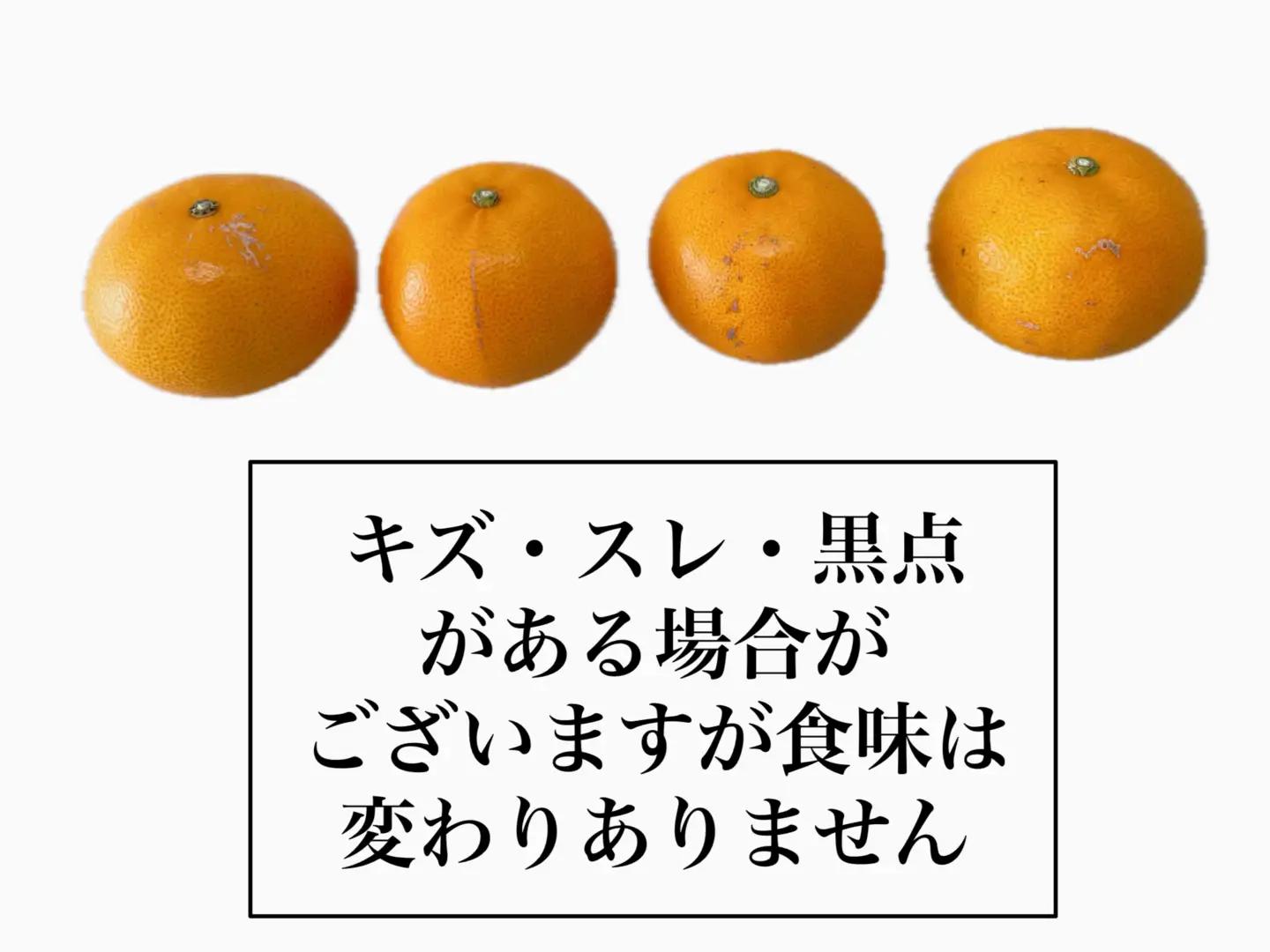 【2027年2月中旬より順次発送】せとか 約2.5kg L～3Lサイズ ご家庭用 バラ詰め｜B192