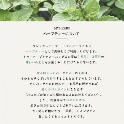 ふるさと納税 富士吉田市 ハーブティーセット(ミント&レモン・シトラス&カモミール)ティーバッグ　20個×2種 |  | 01