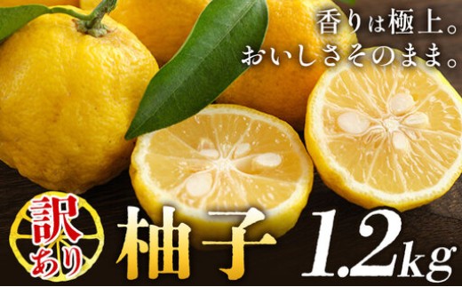 
                  ゆず 訳あり 柚子 約1.5kg 《11月中旬-1月中旬頃発送》徳島県 佐那河内村 ゆず 柑橘 フルーツ 旬【配送不可地域あり】※離島
                