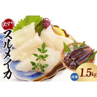 ふるさと納税 香美町 スルメイカ(冷凍)約1.5kgサイズ不揃い(冷凍)