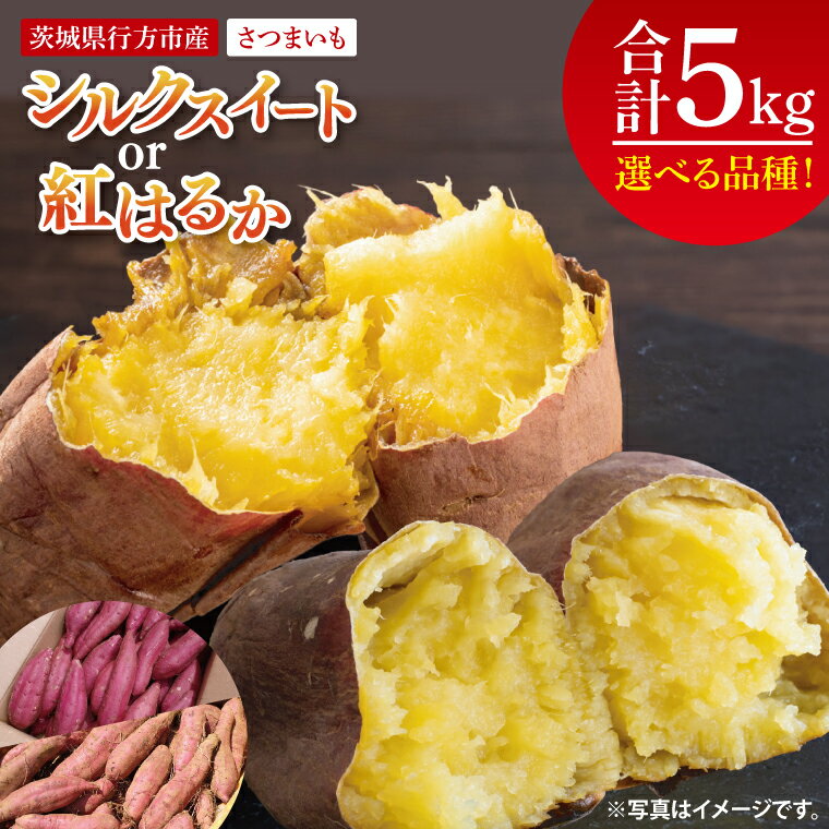 【ふるさと納税】【選べる品種】【2025年9月より順次発送】さつまいも(紅はるか) or（シルクスイート）約5kg｜さつまいも 芋 サツマイモ 紅はるか シルクスイート 先行予約 茨城県 行方市(HP-1)