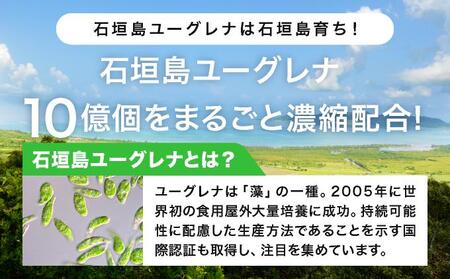 【定期便】《6ヶ月》からだにユーグレナ グリーンスムージー乳酸菌 (195g×15本×6回) | ユーグレナ スムージー 健康飲料 乳酸菌飲料 健康 栄養 栄養価 ふるさと 沖縄県 沖縄 石垣 石垣島
