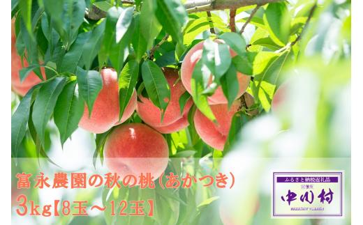 富永農園の桃（あかつき）約３ｋｇ【8玉～12玉】最終発送日8月10日