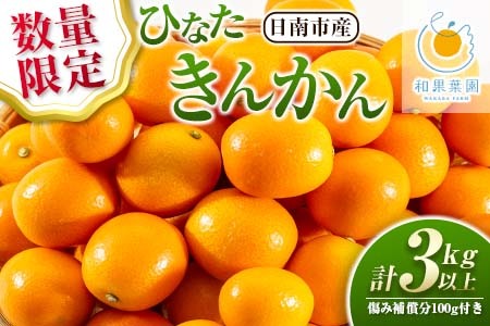 ひなたきんかん 計3kg以上 傷み補償分付き 数量限定 期間限定 フルーツ 果物 柑橘 金柑 みかん 人気 おすすめ おすそ分け お土産 プレゼント お取り寄せ グルメ 国産 食品 デザート スイーツ おやつ ブランド 特産品 産地直送 宮崎県 日南市 送料無料_BB160-25