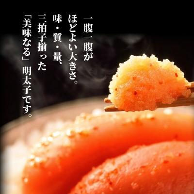 ふるさと納税 上毛町 博多の味やまや　美味 辛子明太子　500g |  | 03