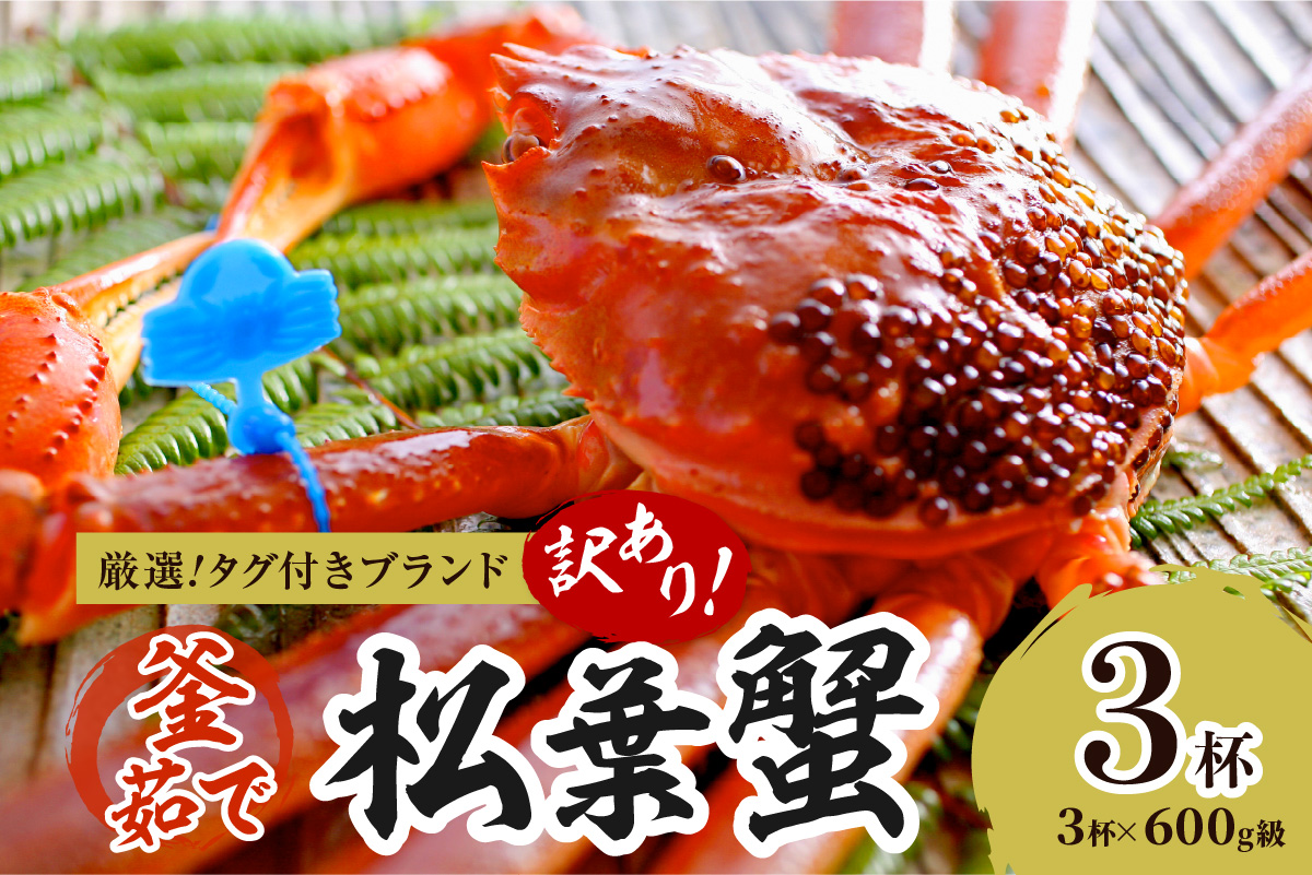 【訳あり！！タグ付きブランド】茹で松葉かに 鮮度抜群、釜茹でにてお届け！！ 600g級（足1本落ち）×3杯 ふるさと納税 かに 京都 京丹後 海鮮 まつば蟹 まつばがに 松葉ガニ 海祥　YK00602
