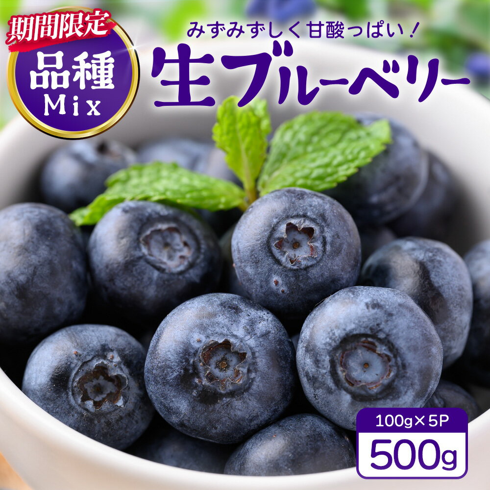 【ふるさと納税】【期間限定】南大隅産 (生)ブルーベリー 品種ミックス詰め合わせ ≪100g×5P≫ BO-1 ｜ 鹿児島県 南大隅町 旬 産地直送 果物 ブルーベリー フルーツ くだもの 新鮮 農園 冷蔵 本土最南端