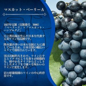 ワイン 岩の原ワイン 1本 720ml 世界ワインコンクール金賞 有機栽培ぶどう使用 マスカット ・ ベーリーA ワイン 赤 ギフト ぶどう 岩の原  新潟 上越
