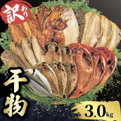 ふるさと納税 沼津市 【山由水産】 訳あり 干物 詰め合わせ セット 3kg