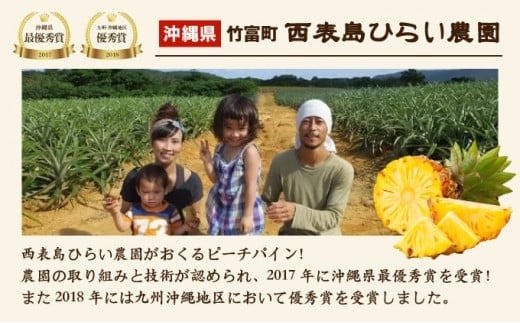 2026年 先行予約 ピーチパイン 約3kg 3～4玉 濃密 "いってＱ"でも紹介された 西表島ひらい農園 パイン パイナップル 果物 フルーツ 約3kg（3～4玉）