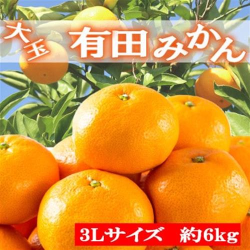 [秀品]和歌山有田みかん約6kg大玉(3Lサイズ)「2026年11月中旬より順次発送」【九度山町】【1497922】