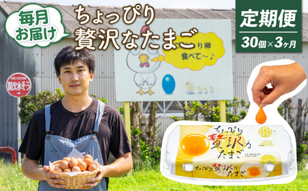 【定期便3回】こだわり たまご 30個 (10個×3パック) 新鮮 平飼い 卵 ﾀﾏｺﾞ