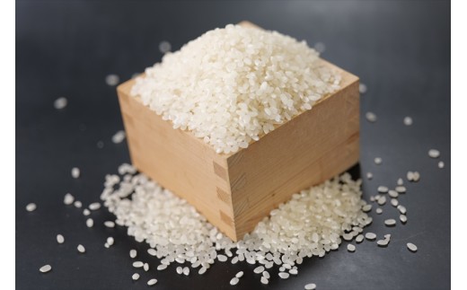 特別栽培米　丹波コシヒカリ　10㎏