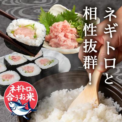 ふるさと納税 焼津市 令和7年産 ネギトロと相性抜群のお米 きぬむすめ白米10kg(5kg×2袋)(a26-031) |  | 01