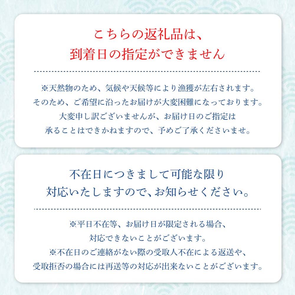 天然ブリ1本（5kg～）下処理なし まるごと直送便【令和7年3月以降発送※着日指定不可】先行予約 鮮魚 刺身 たたき ぶりしゃぶ ぶり大根 ぶり 1本 1匹 1尾 天然 ブリ 鰤 冷蔵【R01211】