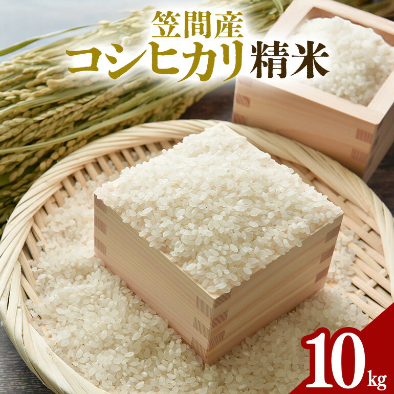 【ふるさと納税】令和7年度 笠間産 コシヒカリ 10kg 精米 米 白米 新米 茨城県