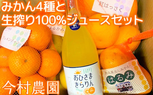 
            今村農園のみかん4種（計約8kg）とおひさまきらりん 生搾り100%ジュースセット 先行予約 2025年 2月発送 柑橘類 みかん ミカン フルーツ 食べ比べ ストレート ＜107-041_5＞
          