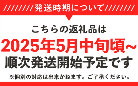 12-17茨城県産タカミメロン【秀品】1個（1kg以上）【2024年5月中旬～6月下旬ごろ発送予定】