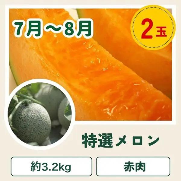 野菜セット 【令和9年産予約受付】5回 定期便 美瑛の四季 白金（大） 野菜詰め合わせ