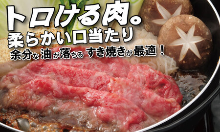 佐賀牛 焼肉 すき焼き 合計800g（400g×各1P） 牛肉 焼肉 すき焼き C210-005