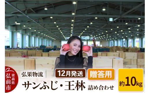 【25年12月発送】りんご 贈答用 サンふじ・王林 詰め合わせ 約10kg