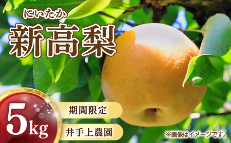  梨 新高 5kg【10月頃から発送予定】 梨 IDG