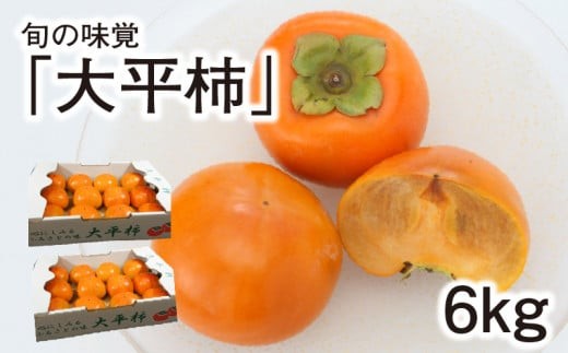 
                  旬の味覚「大平柿」6kg 　T03401
                
