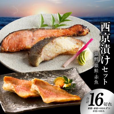 ふるさと納税 泉佐野市 熟成西京漬け 3種16切れ 食べ比べ(銀だら/銀鮭/赤魚) 訳あり サイズ不揃い G1875