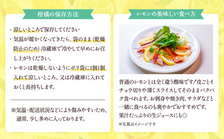 先行予約 レモン 食べるレモン スイートレモネード 約2kg（15～25玉）【2026年12月上旬から2027年6月中順発送予定】