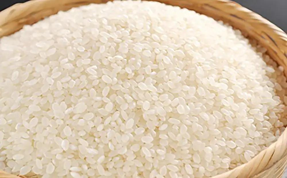 令和7年産 近江米 キヌヒカリ 10kg ( 5kg × 2袋 ) 環境こだわり米【AB63W】 白米 きぬひかり