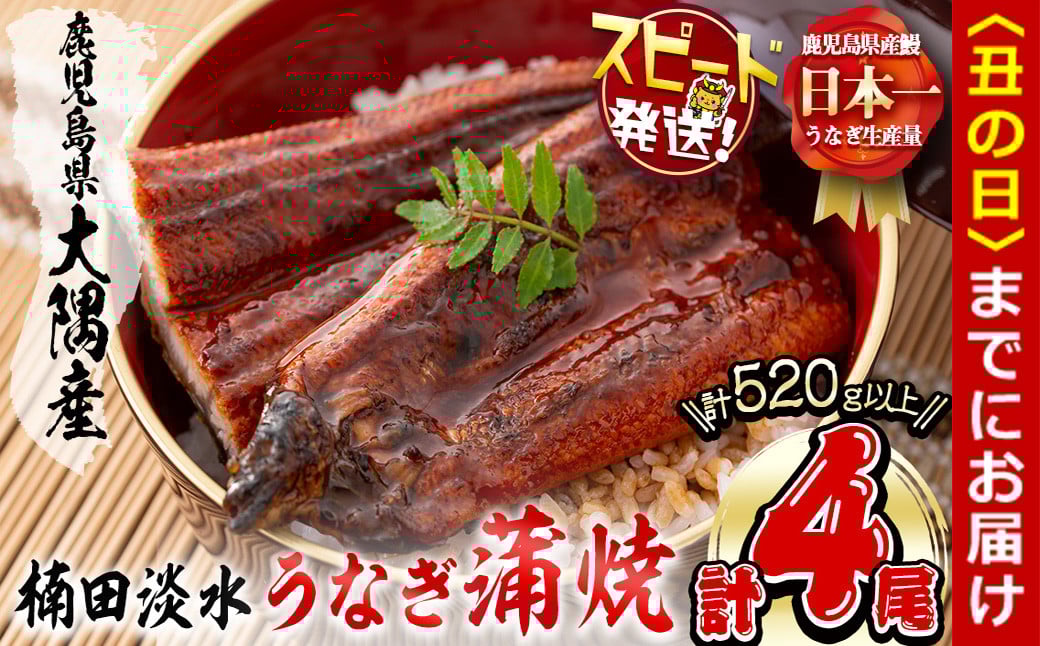 
            楠田の極うなぎ蒲焼130g以上×4尾(計520g以上) 山椒付たれ 鰻 ウナギ 蒲焼 うな重 ひつまぶし 鹿児島 冷凍 おかず お祝い b3-013
          
