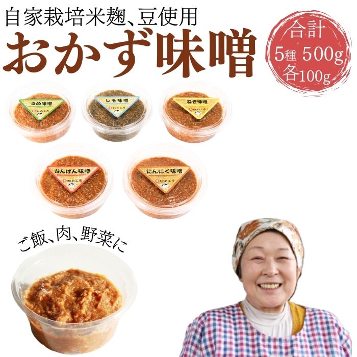 【ふるさと納税】 おかず味噌5個セット 味噌 おすすめ おかず みそ ミソ 豆味噌 豆 マメ 味付き味噌 あじつき セット 南蛮 うめ ウメ 紫蘇 しそ シソ にんにく ニンニク ねぎ ネギ 葱 自家製 自家製味噌 自家製麹 米麹 国産 岩手県 滝沢市 送料無料 【食・虹の工房】