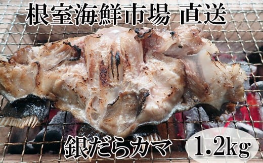 G-14008 銀だらカマ1.2kg