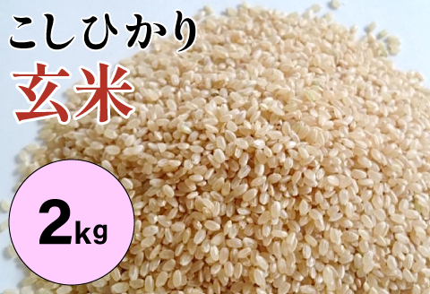 大山の一粒　玄米 2kg