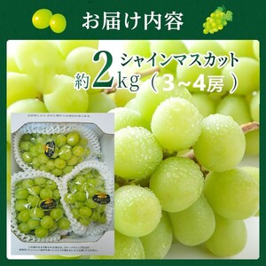 2026年 早期受付 ぶどう シャインマスカット 約2kg（3～4房）岡山県高梁市産 沖島ファーム 化粧箱入り 葡萄 ブドウ 贈答用