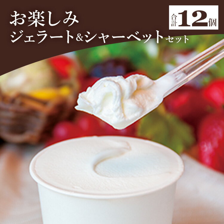 【ふるさと納税】ドルチェかがみ お楽しみジェラート＆シャーベットセット 12個入り - 詰め合わせ 食べ比べ アイス スイーツ デザート ギフト 贈答用 贈り物 送料無料 高知県 香南市【冷凍】