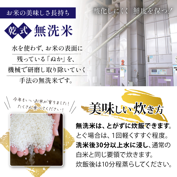 【2025年11月より発送】 新米 銀河たんたん米 銀河のしずく 乾式無洗米 5kg 1袋 12ヶ月 定期便 【ファーム菅久】 ／ 無洗米 精米 白米 60kg